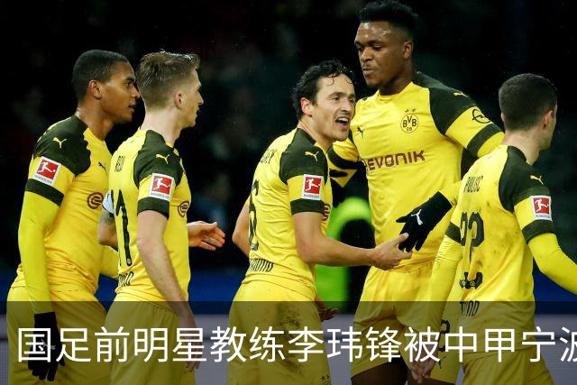 国足前明星教练李玮锋被中甲宁波队解雇，执教仅半年
