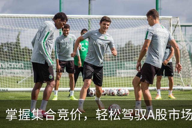 掌握集合竞价，轻松驾驭A股市场的盈利诀窍